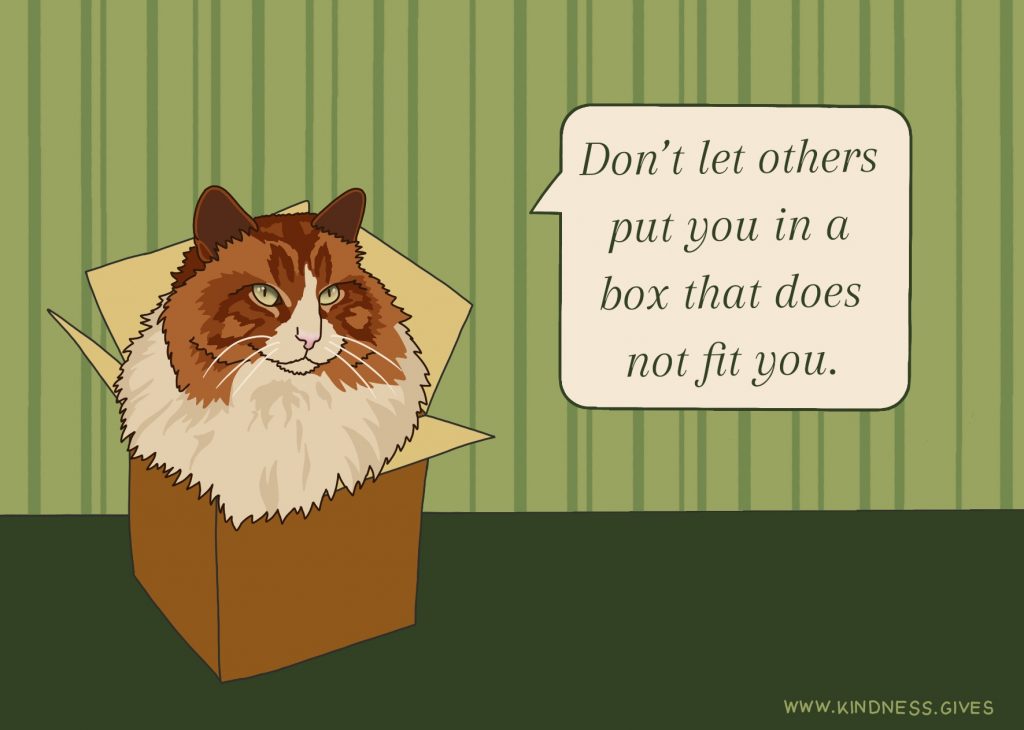 A cat sitting in a box saying "Don´t let others put you in a box that does not fit you"