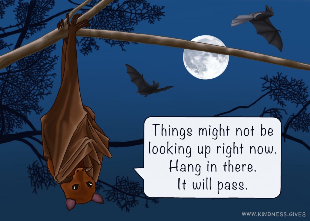 A bat hanging from a branch in front of a full moon and spme flying bats saying "Things might not be looking up right now. Hang in there. It will pass."