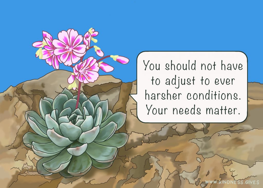 A pink blooming succulent plant on a bare rock saying "You should not have to adjust to ever harsher conditions. Your needs matter."